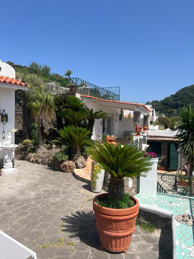 Blu Panorama Bed & Breakfast Forio  Exterior photo